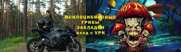 спиды Белокуриха