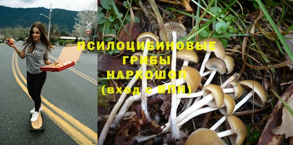 синтетический гашиш Богданович