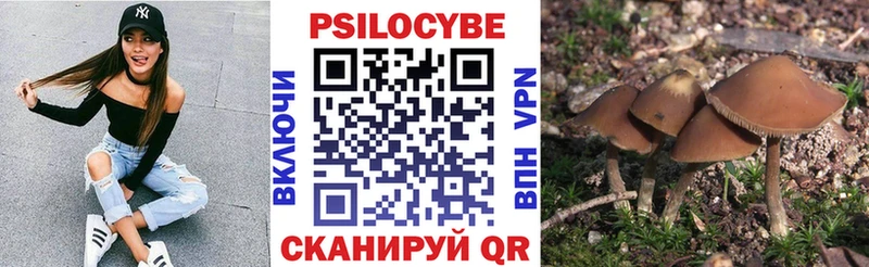 Купить где  Славянск-на-Кубани  Псилоцибиновые грибы Magic Shrooms 